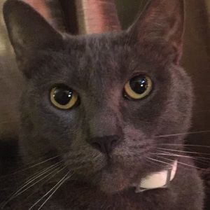 Meet your Posher, Nikole